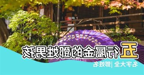 鄧 五行